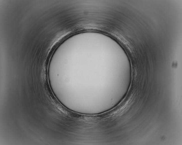 X0000097750782200803281609