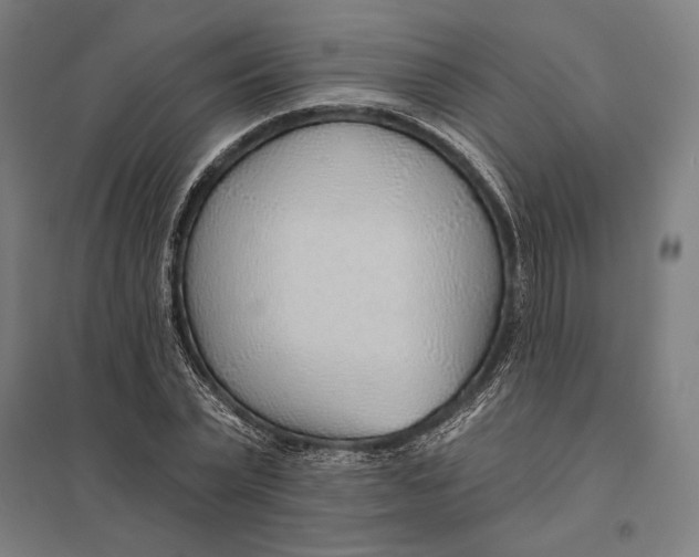 X0000097750783200803281609