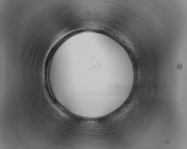 X0000097750784200803281609