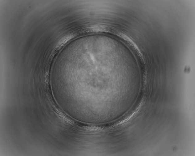 X0000097750785200803281609