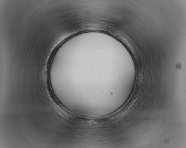 X0000097750787200803281609