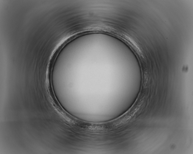 X0000097750788200803281609