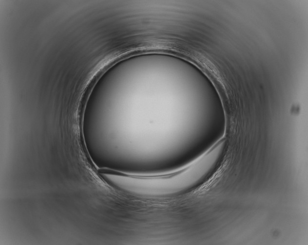 X0000097750789200803281609