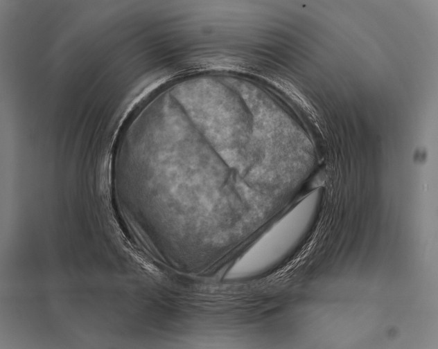 X0000097750790200803281609