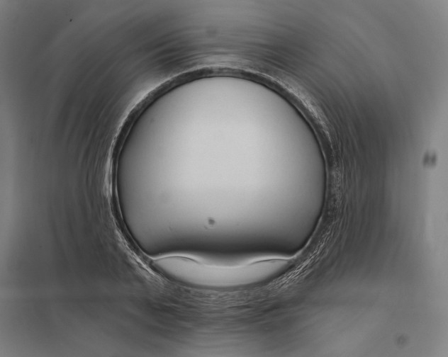 X0000097750791200803281609