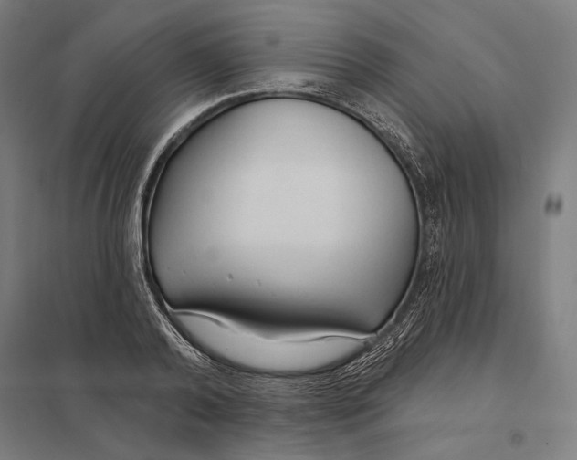 X0000097750792200803281609