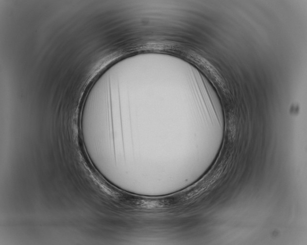 X0000097750794200803281609