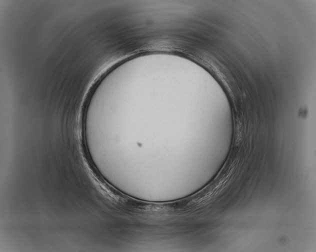 X0000097750795200803281609