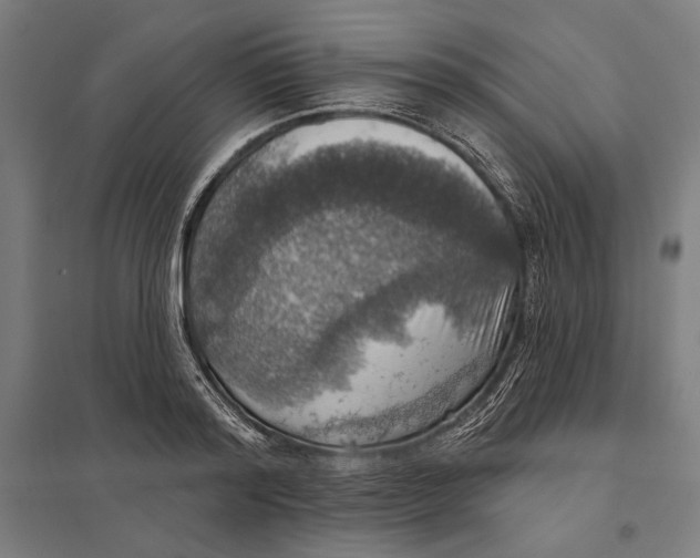 X0000097750796200803281609