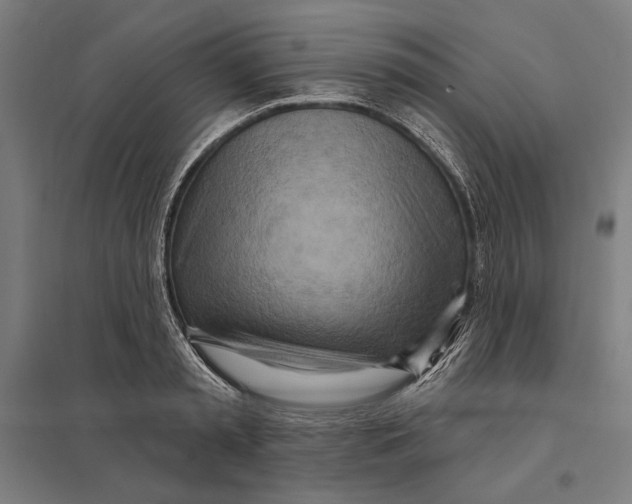 X0000097750797200803281609