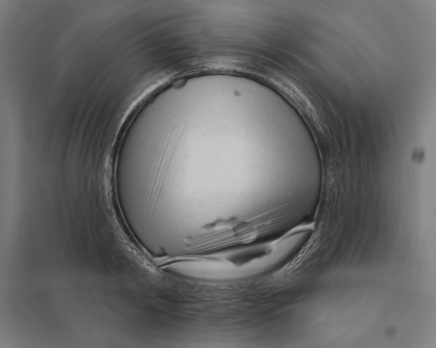 X0000097750798200803281609