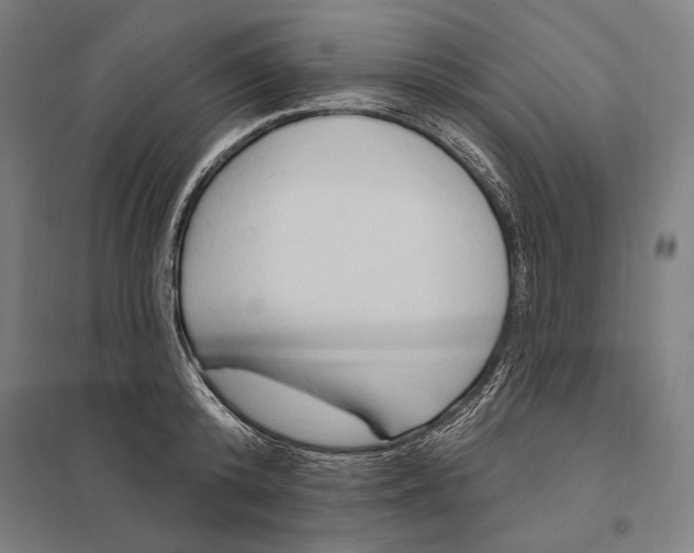 X0000097750800200803281609