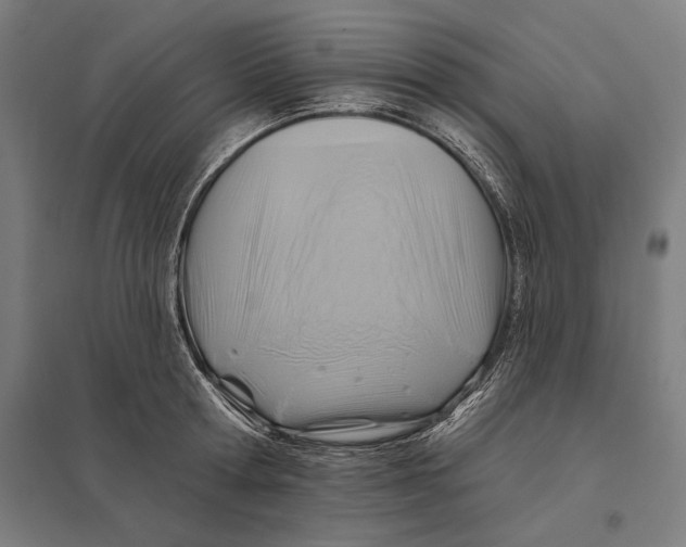 X0000097750802200803281608