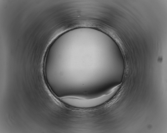 X0000097750803200803281608