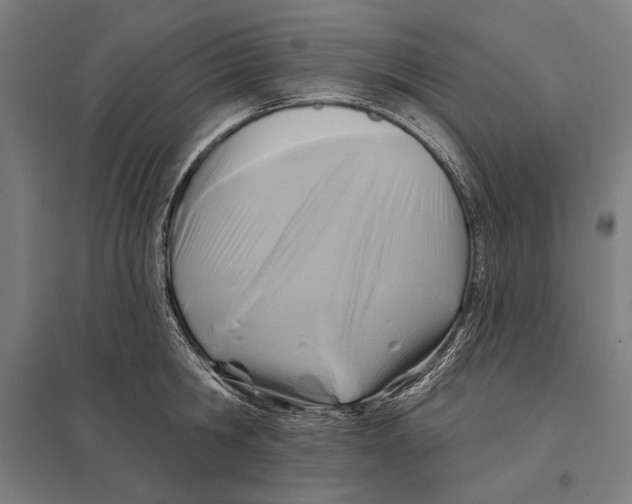 X0000097750806200803281608