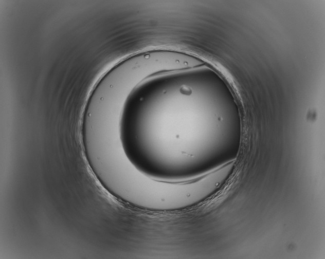 X0000097750807200803281608