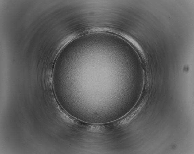 X0000097750809200803281608