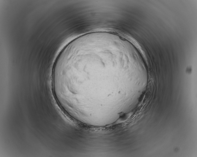 X0000097750811200803281608