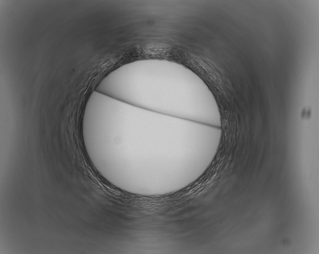 X0000097750817200803281607