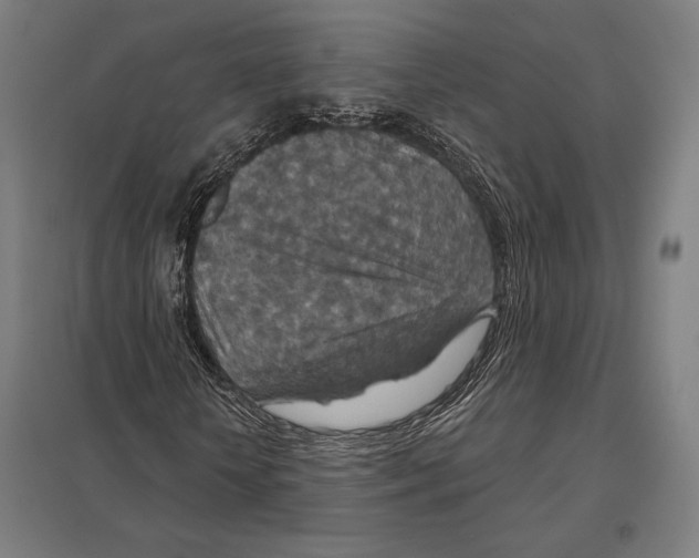 X0000097750818200803281607