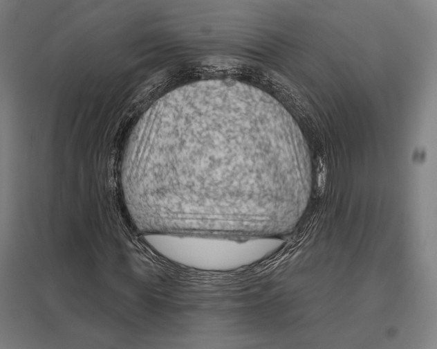 X0000097750819200803281607