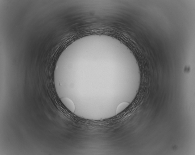 X0000097750820200803281607