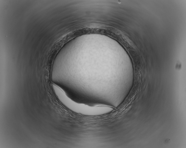 X0000097750821200803281607