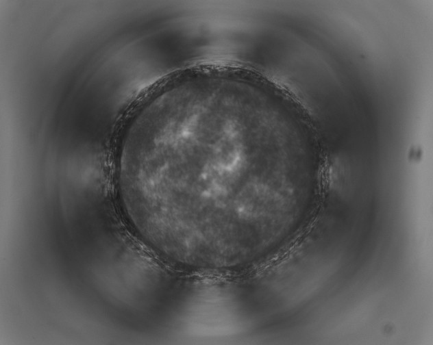 X0000097750822200803281607