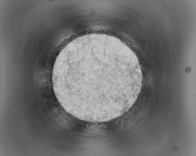 X0000097750824200803281607