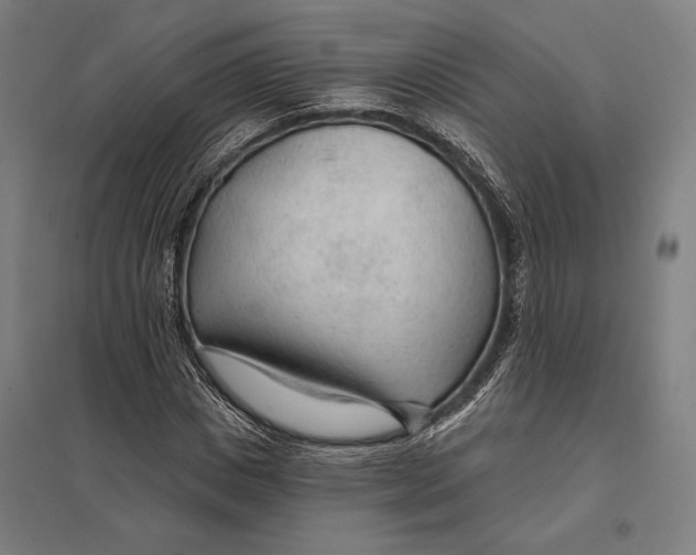 X0000097750825200803281607