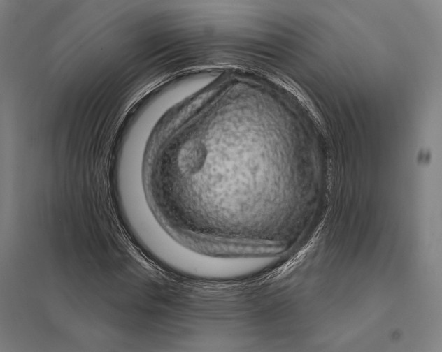 X0000097750826200803281607