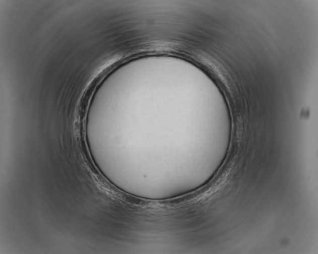 X0000097750827200803281608