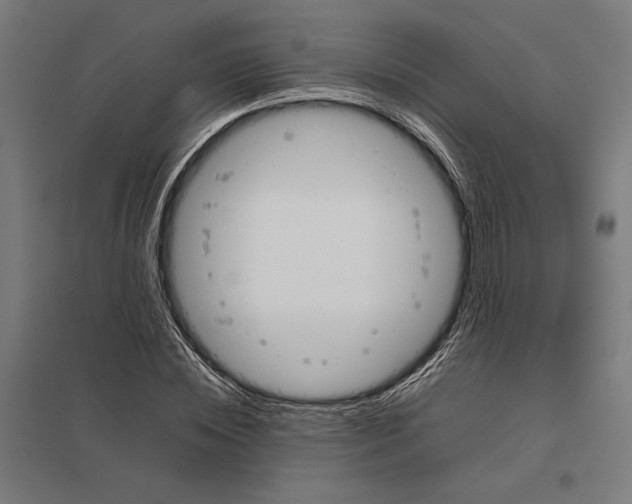 X0000097750828200803281608