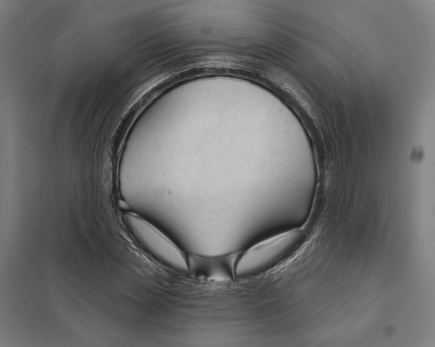 X0000097750829200803281608