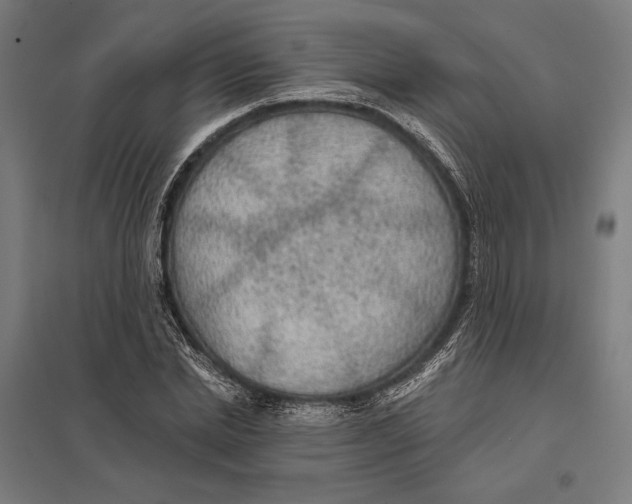 X0000097750830200803281608