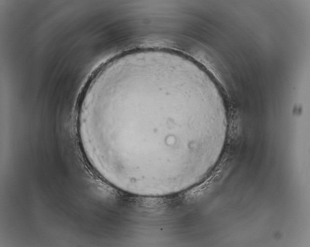 X0000097750832200803281608