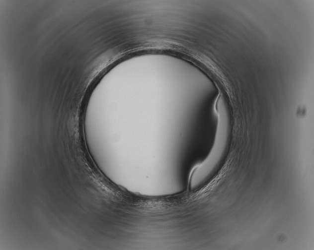 X0000097750834200803281608