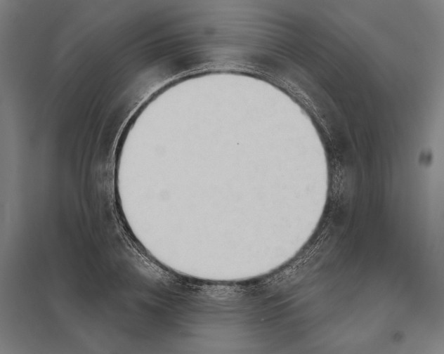 X0000097750836200803281608