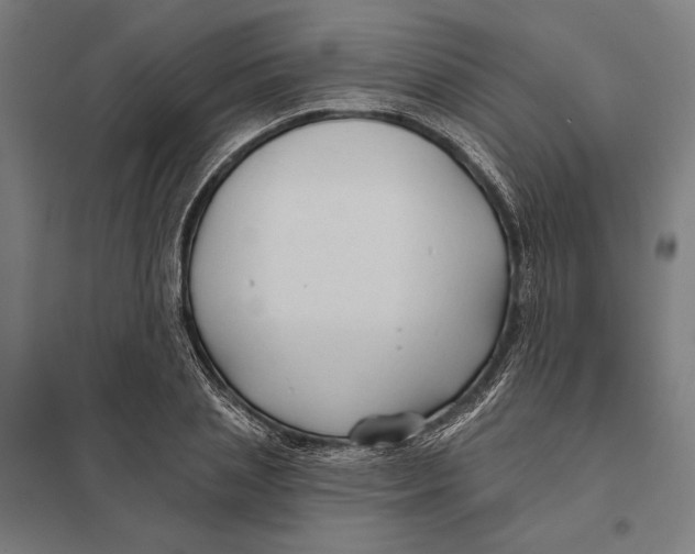 X0000097750837200803281608