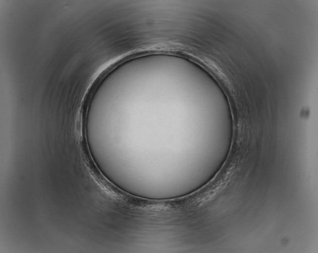 X0000097750838200803281608