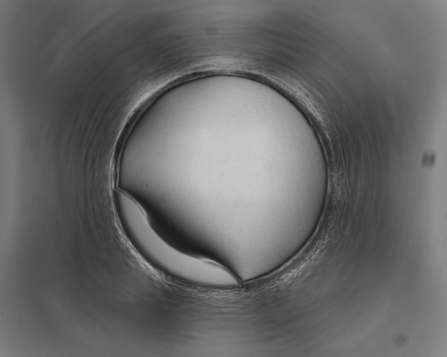 X0000097750839200803281608