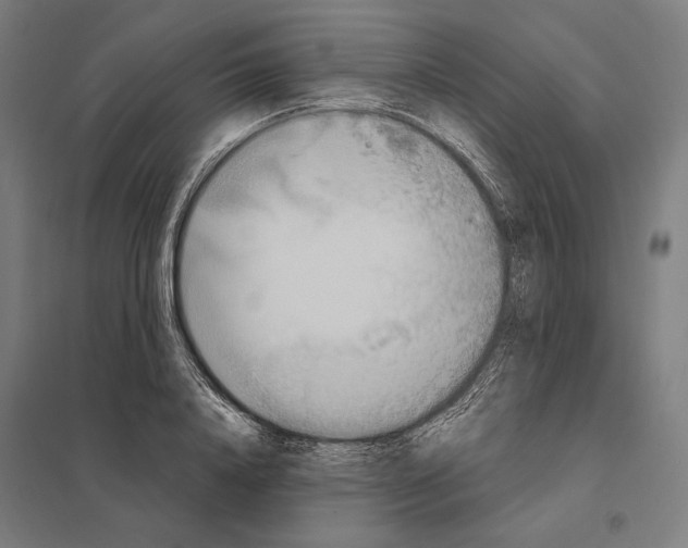 X0000097750840200803281608