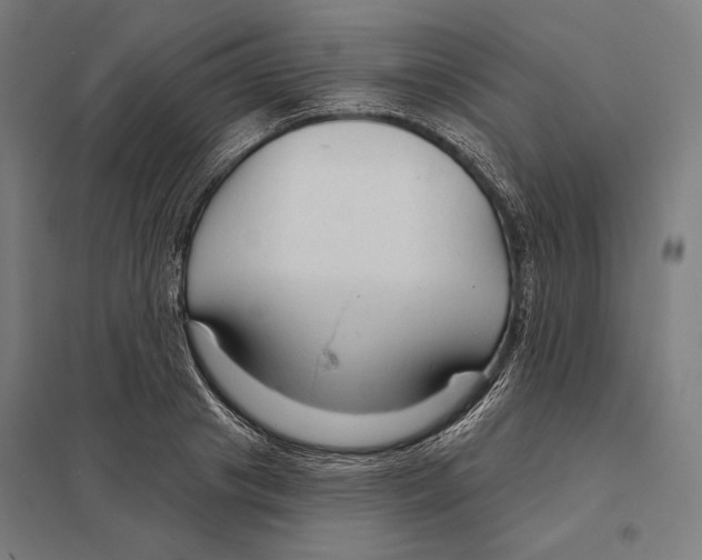 X0000097750841200803281608