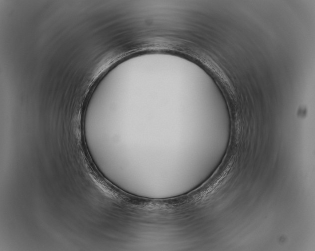 X0000097750842200803281608