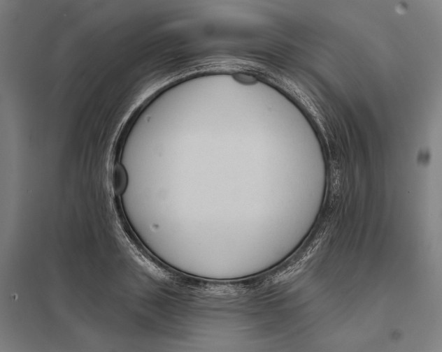 X0000097750843200803281608