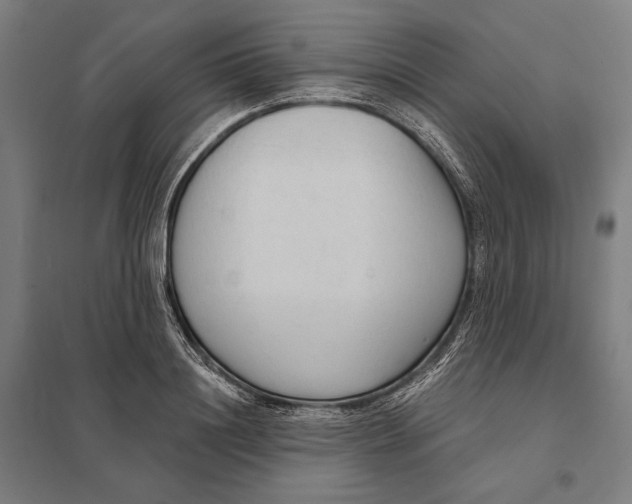 X0000097750844200803281608