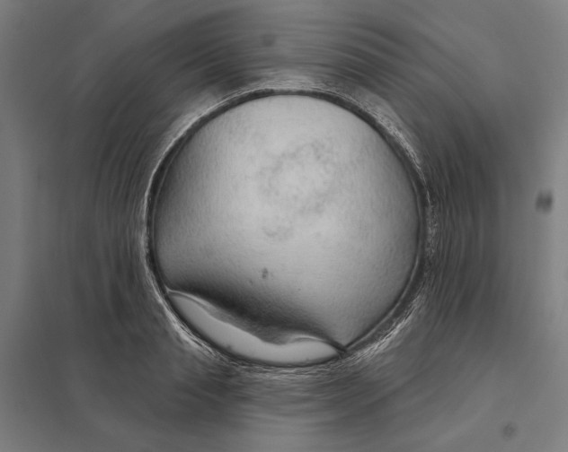 X0000097750845200803281608