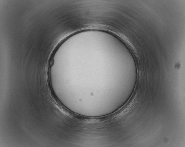 X0000097750846200803281608