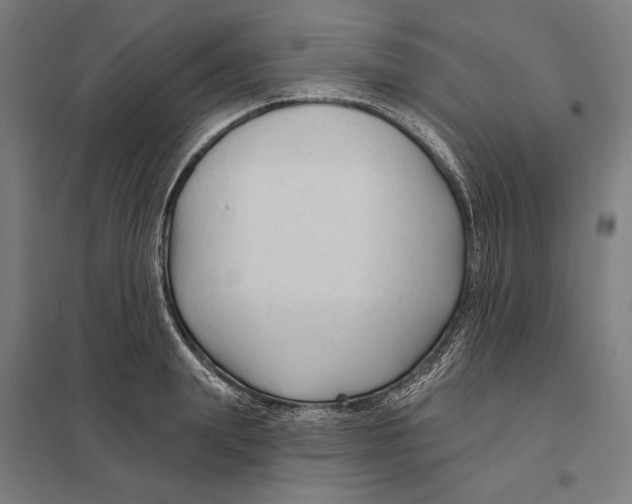 X0000097750847200803281608