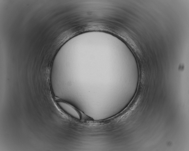 X0000097750849200803281608